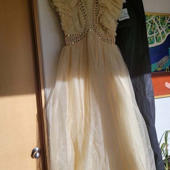 Zimmermann Dancer Glitter Tulle Ruffle Gown sz 1 NWT - Picture 8 of 9
